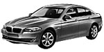 BMW F10 B244E Fault Code